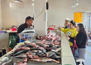 Abasto de pescado y marisco está asegurado en Cajeme