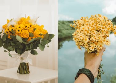 Esta es la razón por la que el 21 de marzo se regalan flores amarillas