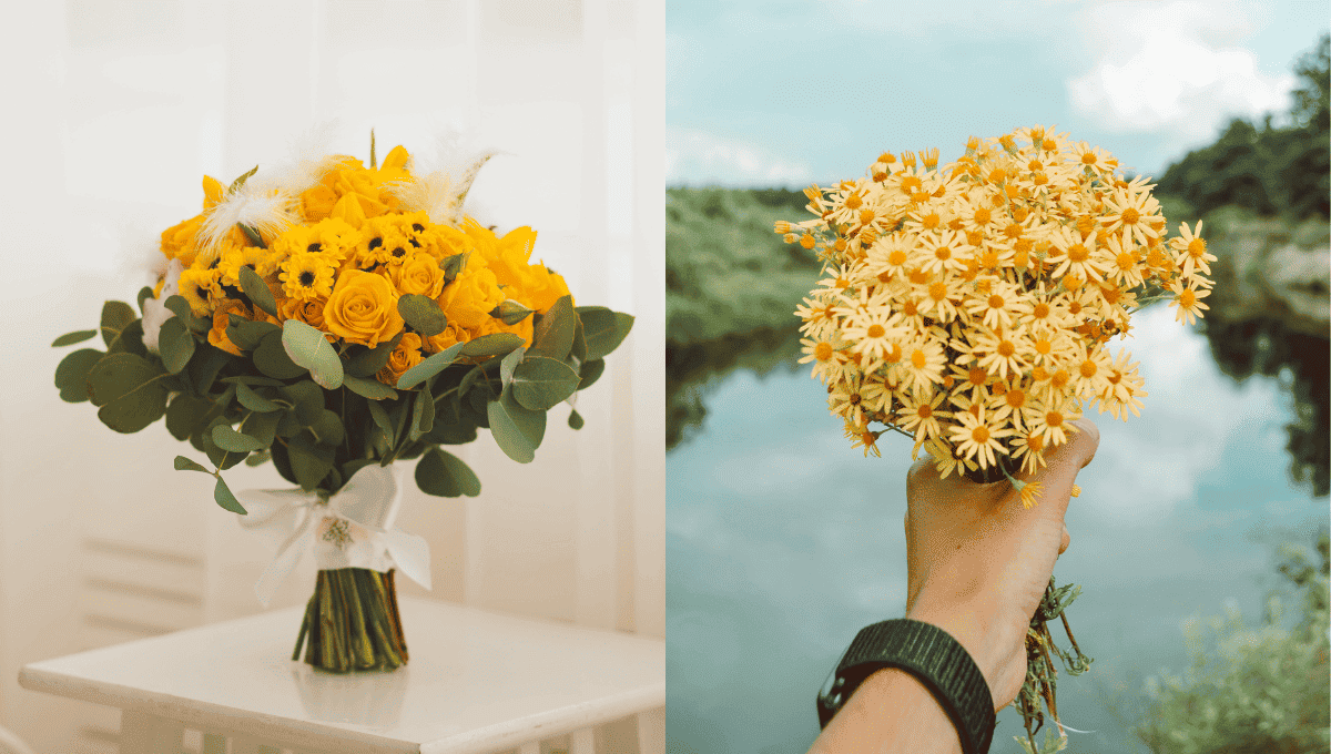 Esta es la razón por la que el 21 de marzo se regalan flores amarillas