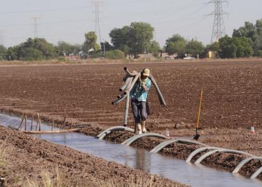 Se desperdicia el agua en Cajeme