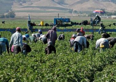 Presentan estrategias para enfrentar el problema hídrico en agricultura sonorense