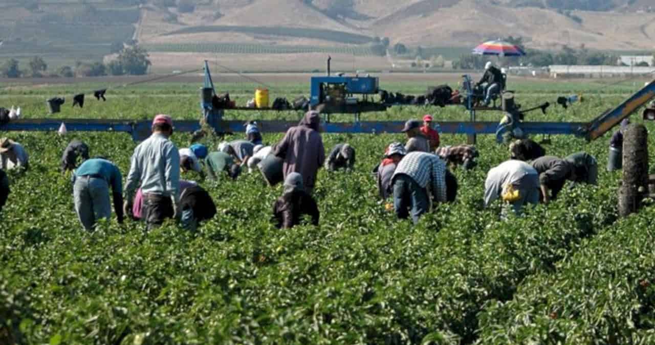 Presentan estrategias para enfrentar el problema hídrico en agricultura sonorense