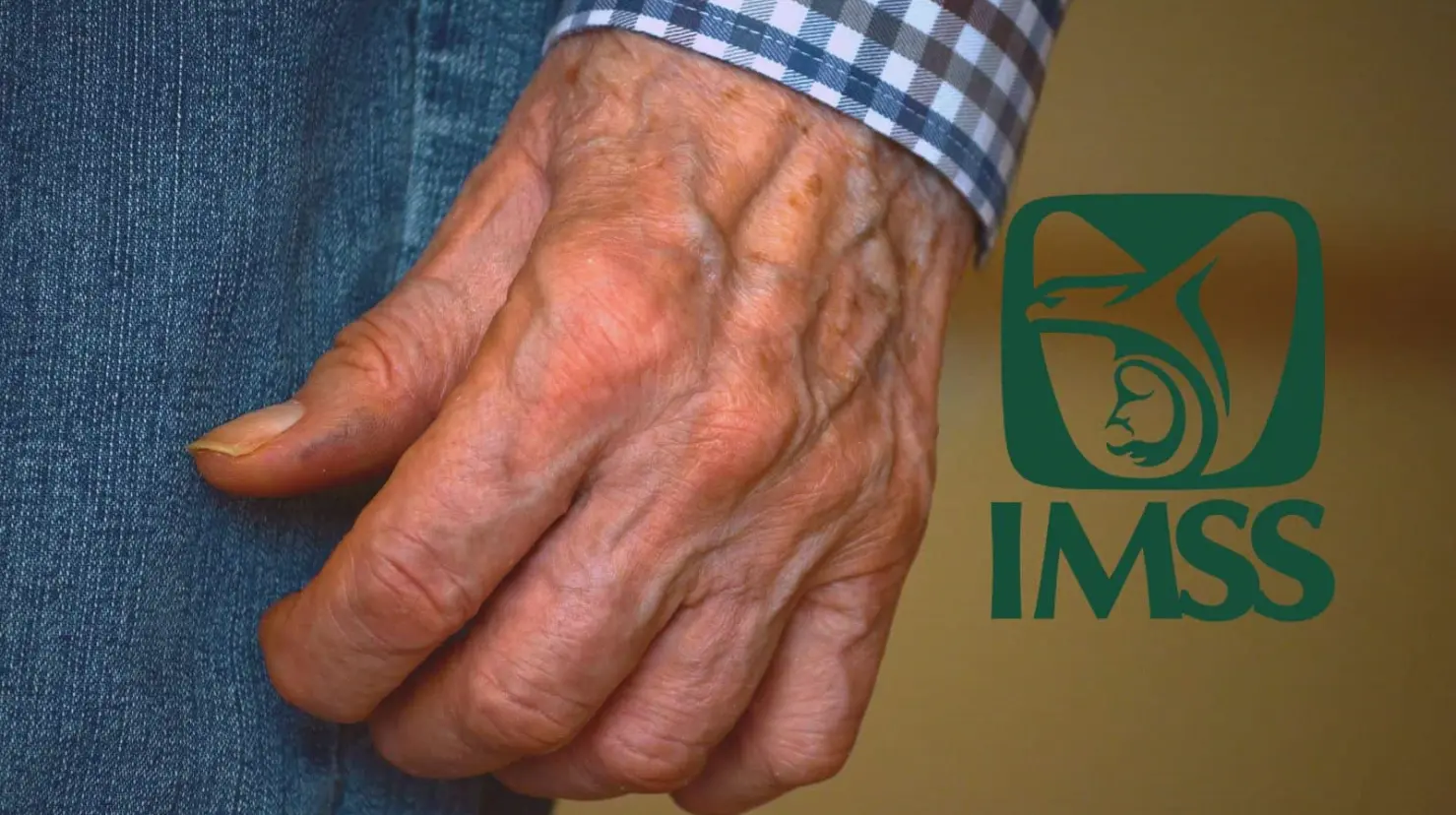 Pensión IMSS: ¿Qué es la comprobación de supervivencia y quiénes la tienen que hacer?