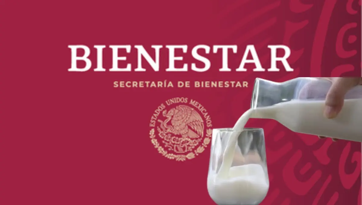 Conoce el programa de Leche para el Bienestar y a quienes va dirigido. Foto: Original