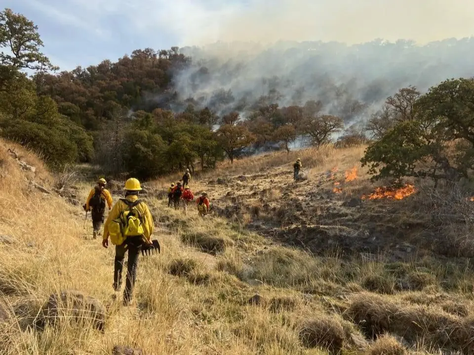 El 90 por ciento de los incendios forestales son generados por la interacción humana en el entorno natural. Cajeme es una de las zonas más propensas a incendios y se divide en riesgo crítico e intermedio