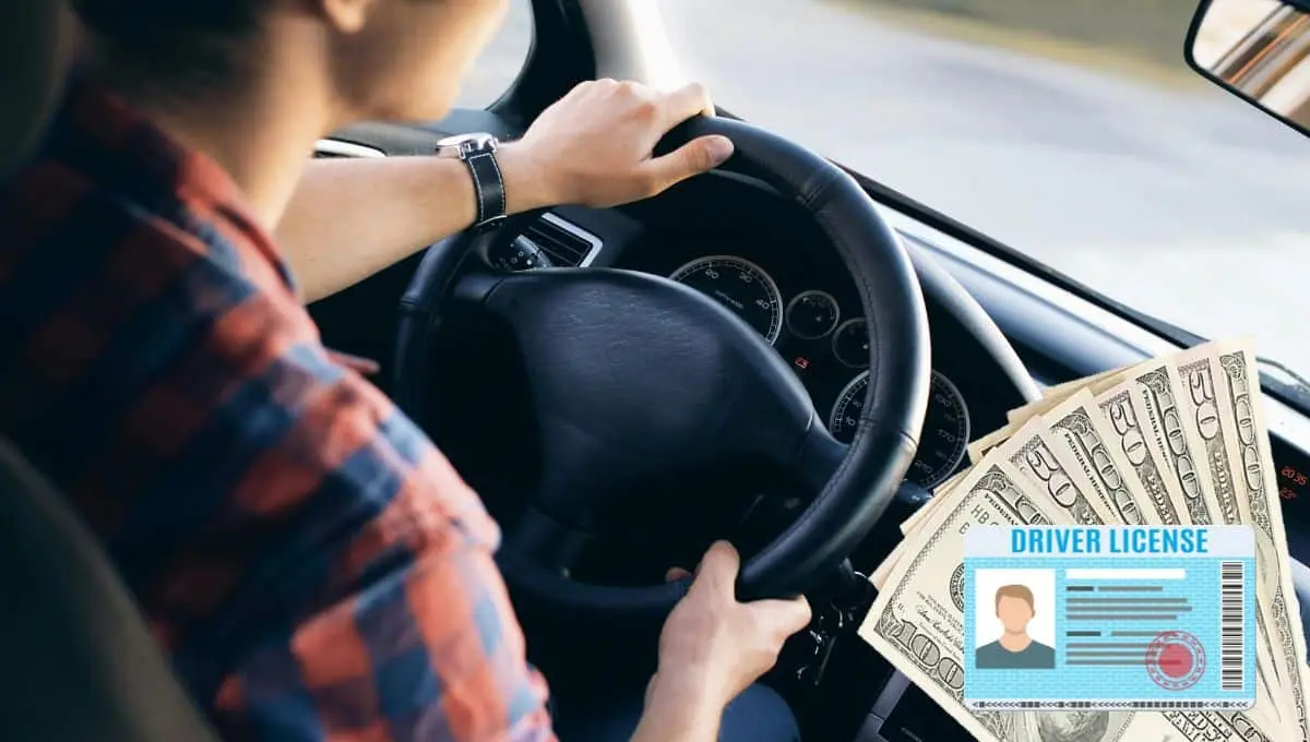 Descubre cuánto cuesta renovar tu licencia / Pexels, PNGWing