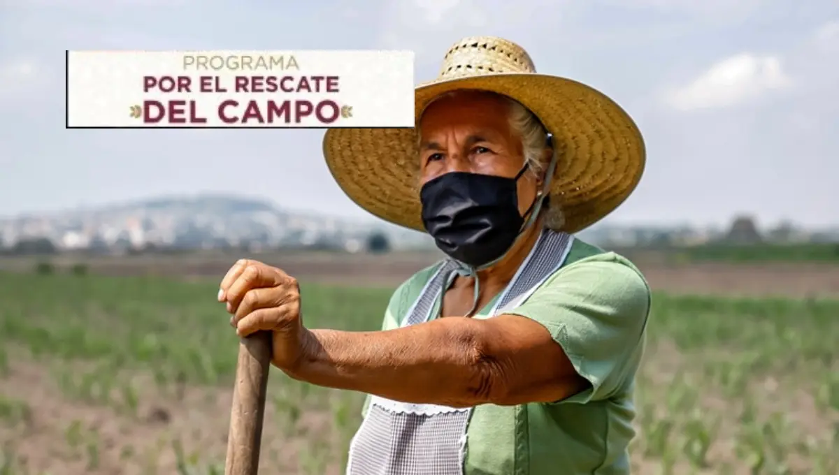 Conoce el programa “Rescate del Campo Edomex” y requisitos. Foto: Original
