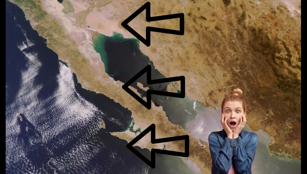 Expertos revelan cuánto tardará para que Baja California se haga una isla. Foto: Original
