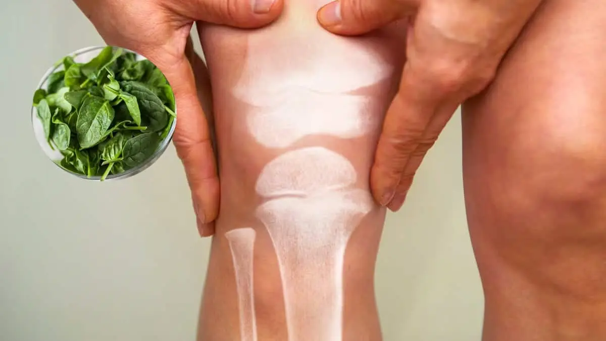 ¿Dolor de rodillas? Este vegetal estimula el colágeno y ayuda a combatirlo