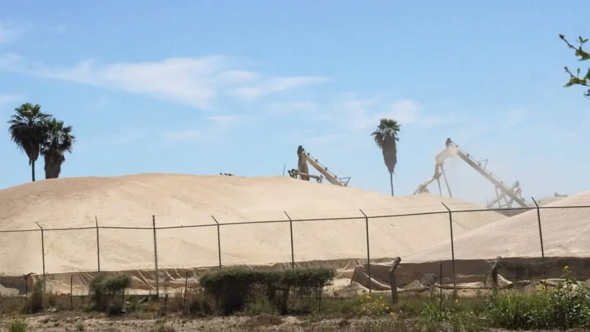 Inician trillas de trigo en el Valle del Yaqui