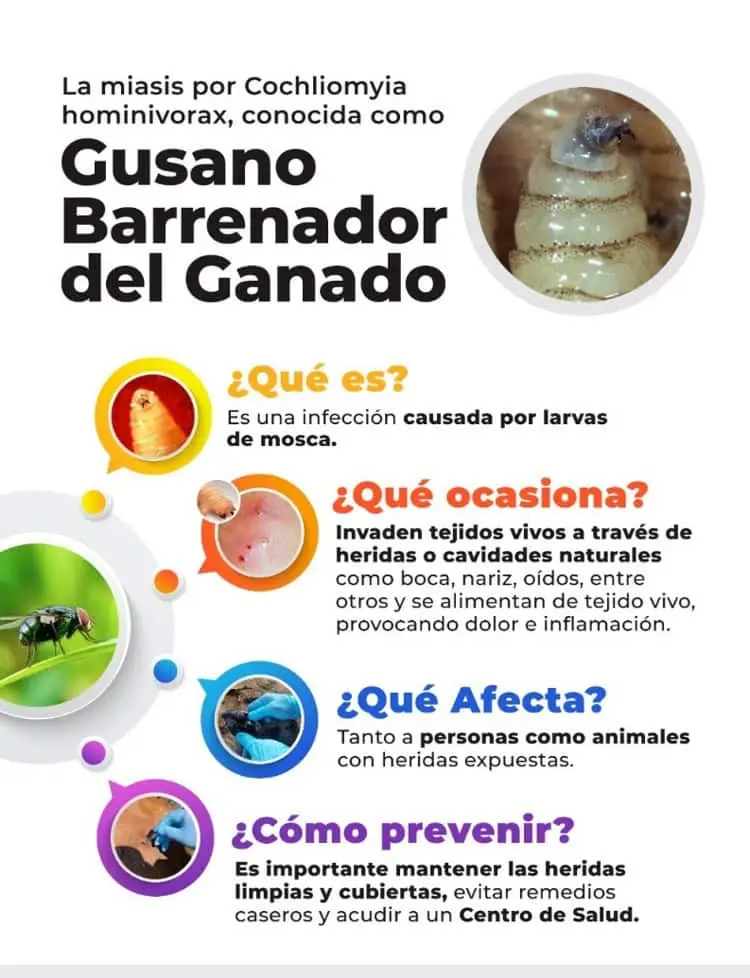 imagen-cuerpo