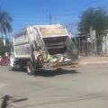 Faltan recolectores en Navojoa