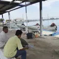 Pescadores buscan ser guías de turistas
