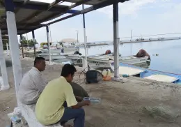 Pescadores buscan ser guías de turistas