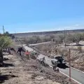 Al menos cada 6 metros debe haber un árbol