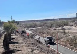 Al menos cada 6 metros debe haber un árbol