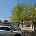 Una necesidad, asegurar futuro hídrico del sur de Sonora