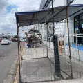 El calor ahuyenta a los visitantes al centro de Obregón: se instalan menos ambulantes