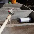 Presentan más casos de dengue en Sonora