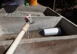 Dengue: se presentan dos casos más en Sonora