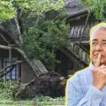 ¿El árbol de tu vecino dañó tu propiedad? esto debes hacer