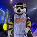 El Tigre Chacho es homenajeado en la Gala de la LMB por su trayectoria como mascota del beisbol mexicano