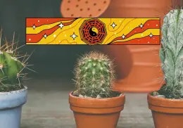 ¿Es de mala suerte si colocamos un cactus en estas habitaciones? Esto dice el Feng Shui