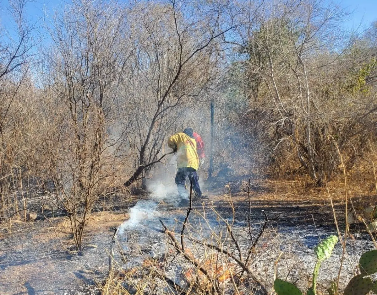 Incendios forestales en Navojoa con bajo impacto