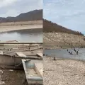 Trae lluvia esperanza a productores del Mayo