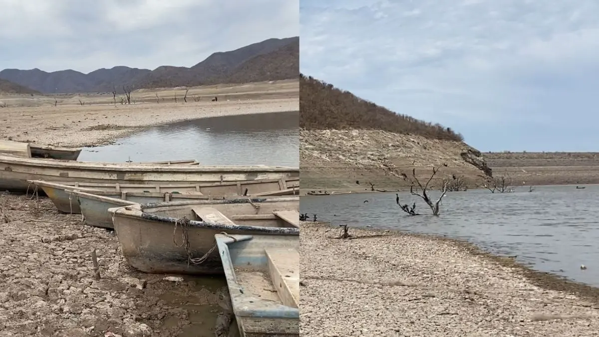 Trae lluvia esperanza a productores del Mayo