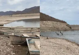 Trae lluvia esperanza a productores del Mayo