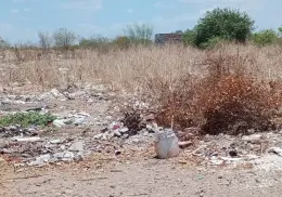 Buscan evitar criaderos de mosquitos en Providencia