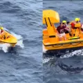 VIDEO | Padre e hija son rescatados tras caída al mar en crucero Disney Dream