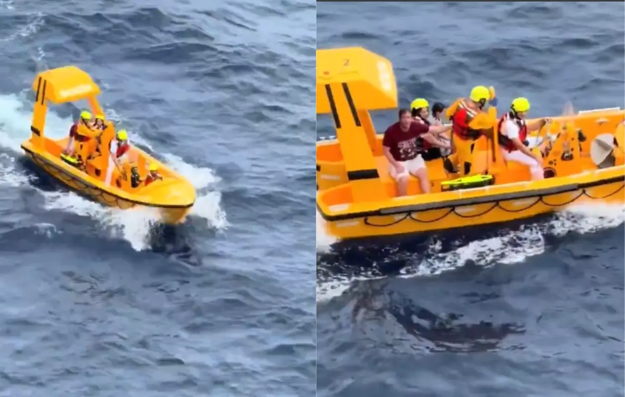En redes circularon imágenes del momento en que ambos pasajeros del crucero fueron rescatados en mar abierto.