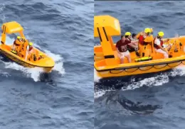 VIDEO | Padre e hija son rescatados tras caída al mar en crucero Disney Dream