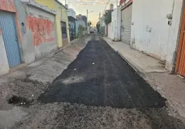 Dan manita de gato a callejón República de Haití en Cajeme