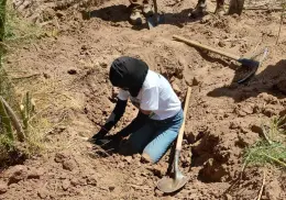 Reanudan búsqueda en cementerio clandestino del Valle del Yaqui