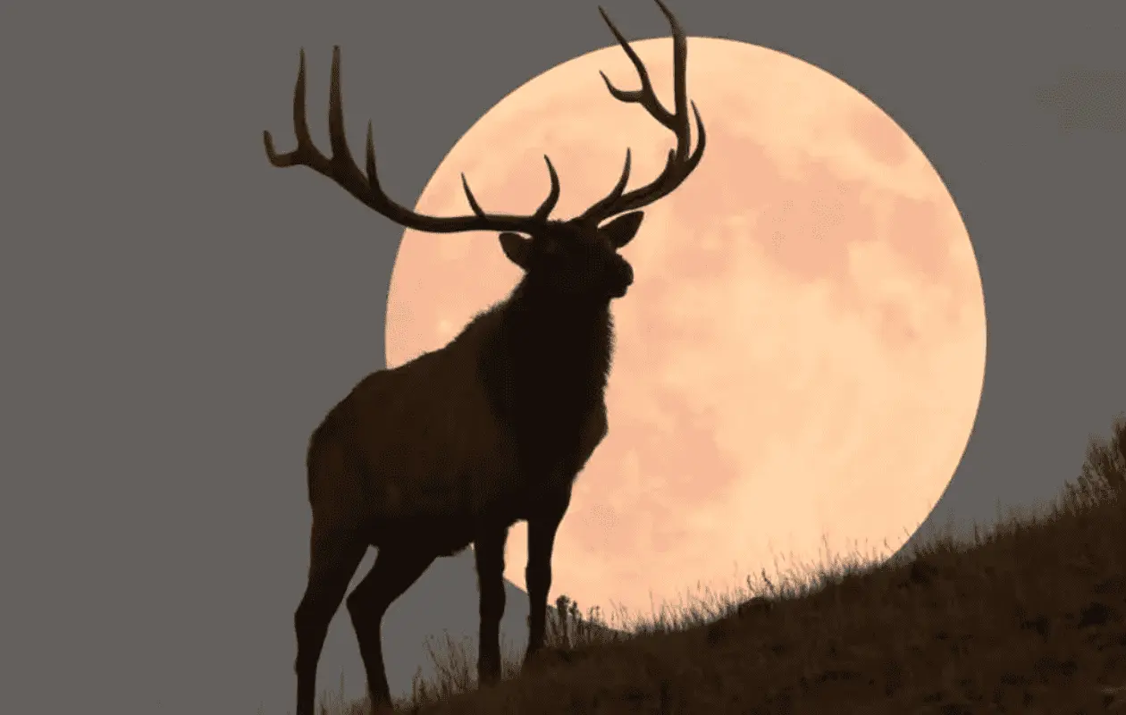 La también conocida como Luna del Ciervo es uno de los eventos astronómicos más esperados en julio.