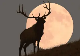 Fenómenos astronómicos de julio 2025: Superluna y Plutón más brillante que nunca