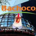 Bachoco se despide de la Bolsa Mexicana de Valores ¿Por qué y cuáles son los cambios que tendrá?