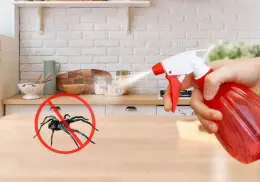 Elimina las arañas de tu casa con este ingrediente de cocina