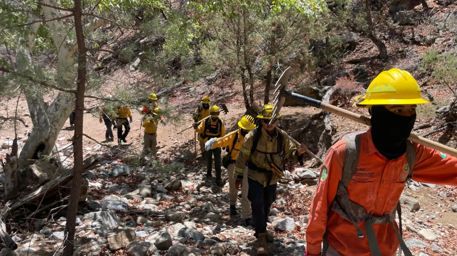 Estos trabajos también se han realizado con la colaboración de la Comisión Nacional Forestal (Conafor), la Comisión Nacional de Áreas Naturales Protegidas (Conanp), la Secretaría de la Defensa Nacional (Defensa), la Guardia Nacional y la Brigada Estatal de Manejo de Fuego de Sagarhpa