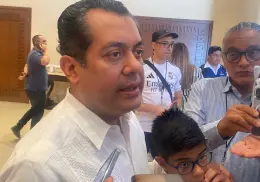 Cámara de Diputados analizará tema de CFE