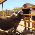 Centro Ecológico de Sonora cambia de horario