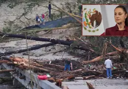 Actriz hollywoodense reconoce a Claudia Sheinbaum por su ayuda a Texas por inundaciones
