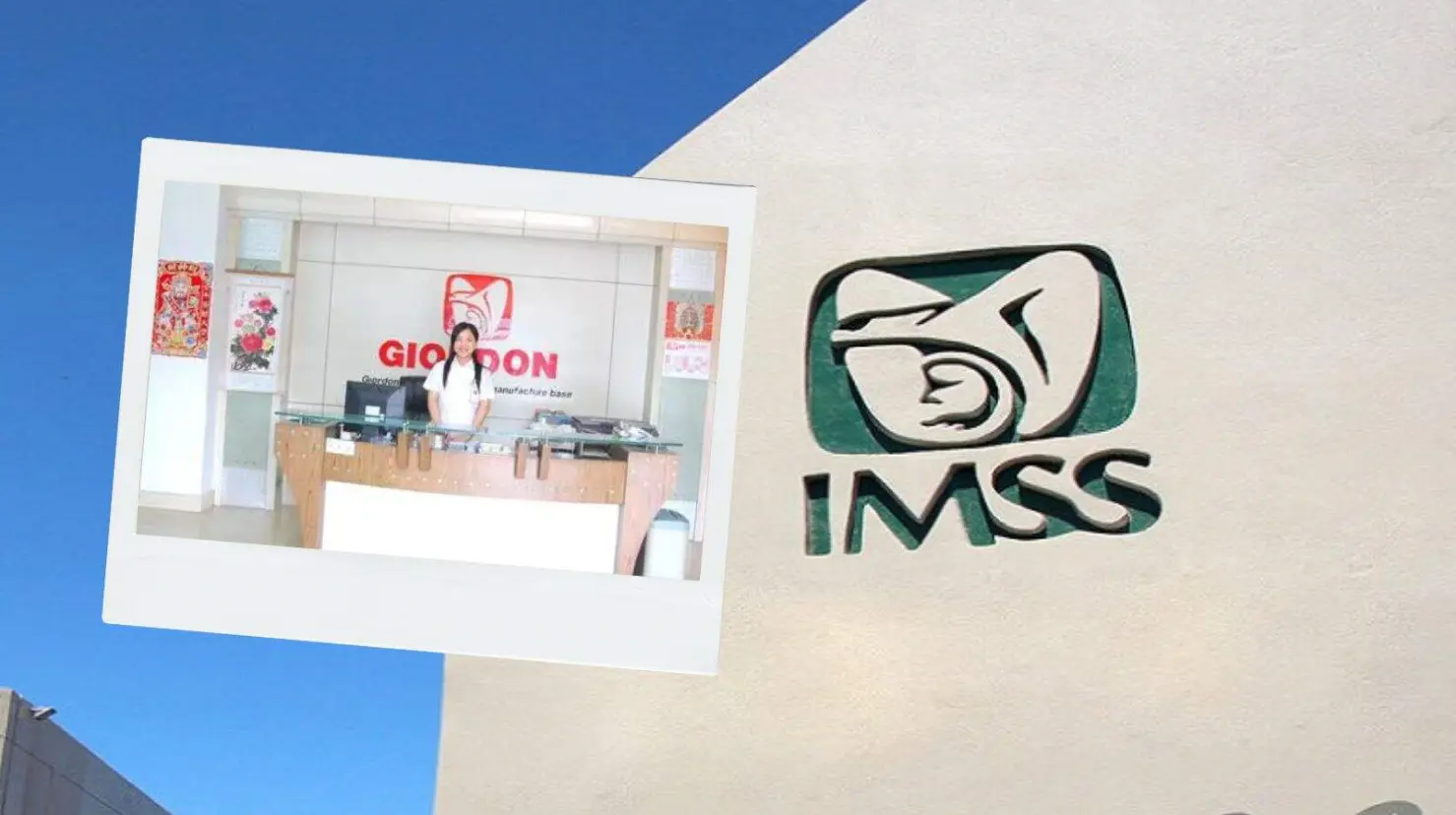 Conoce la historia de la empresa china plagió el logo del IMSS para vender alarmas y quizá no sabías