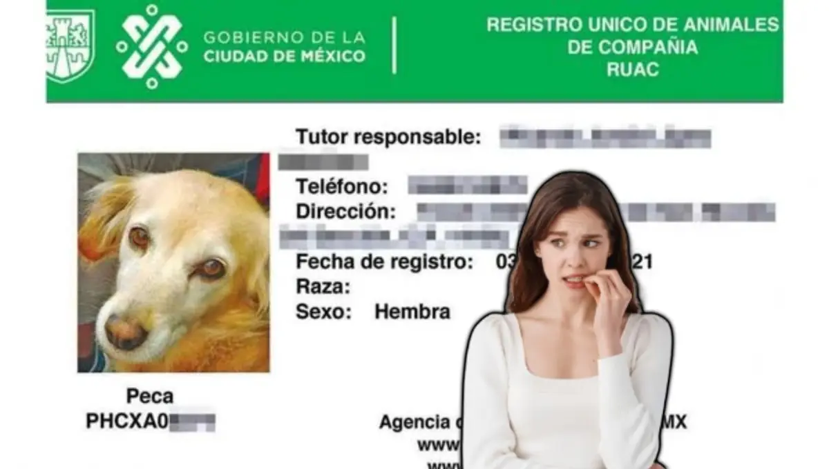 Gobierno de la CDMX explica si se puede solicitar el RUAC en la calle. Foto: Original