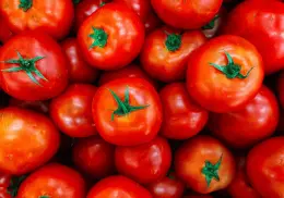Precio del tomate podría subir en EE. UU. por fin del acuerdo comercial con México