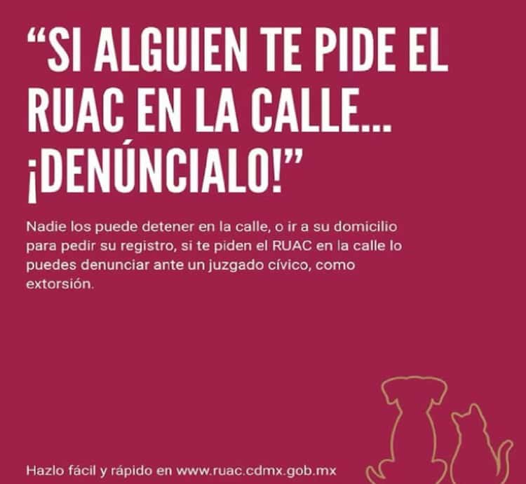 imagen-cuerpo imagen-cuerpo