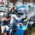 Pescadores, listos para ir por la jaiba